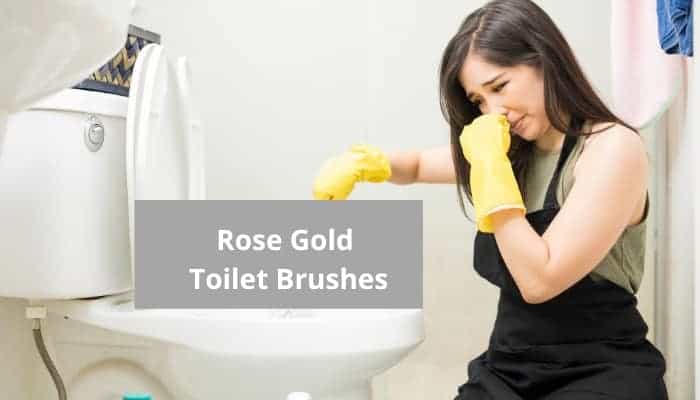 Where to buy a rose gold toilet brush
