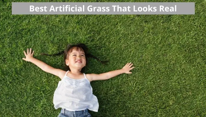 Best artificial grass for pets