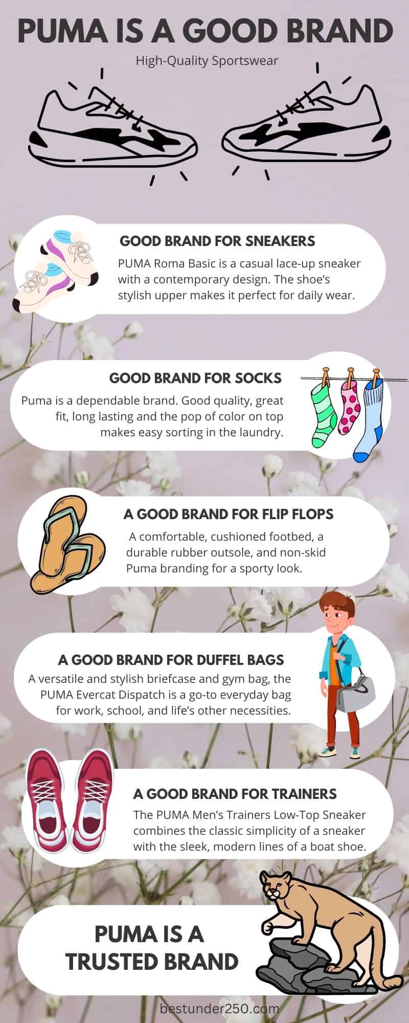 Infographic - Puma is a good brand
