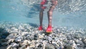Is Seekway a good brand for water shoes?