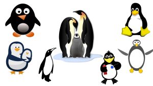 Brands with Penguin Logo